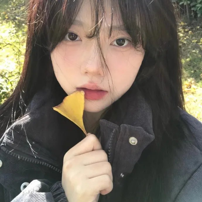 冈比